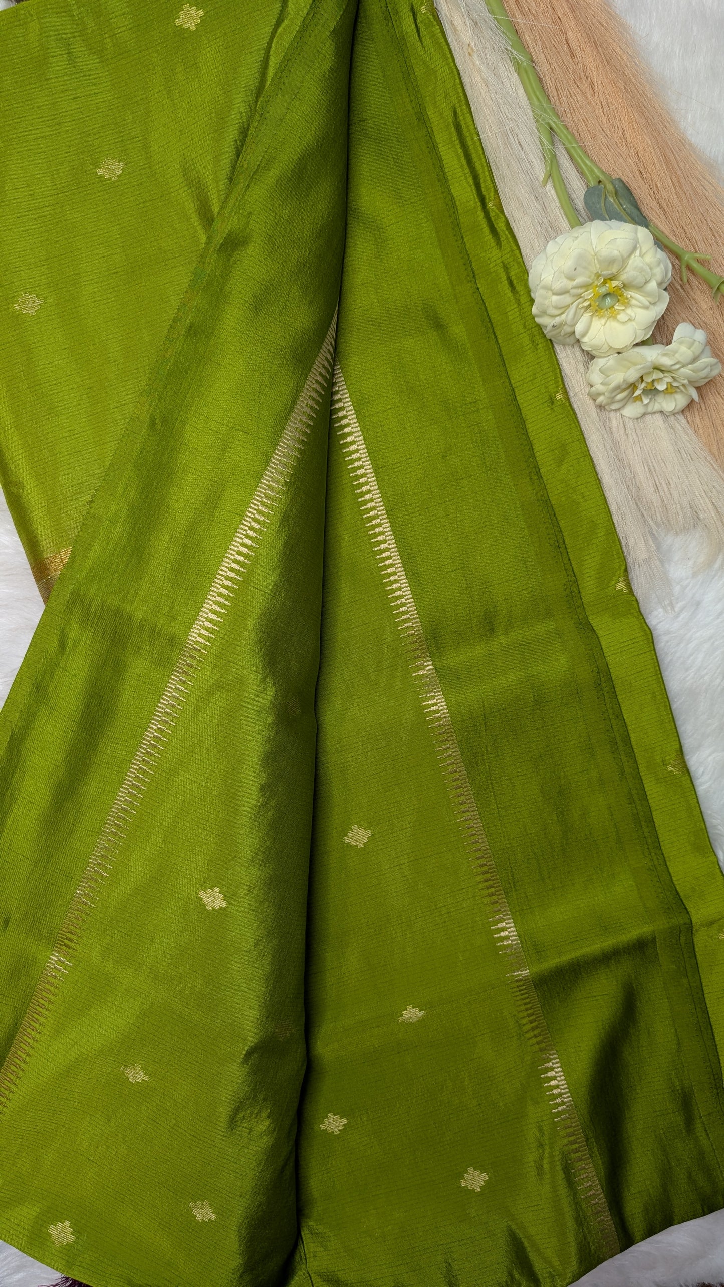 Semi Soft Silk with Rich Contrast Pallu