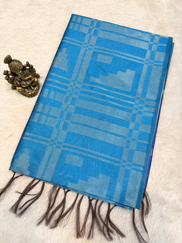 Tussar Silk
