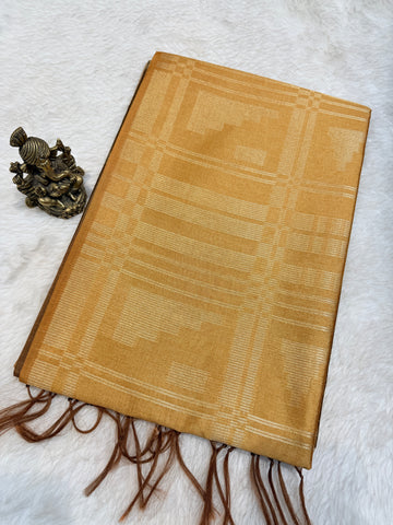 Tussar Silk
